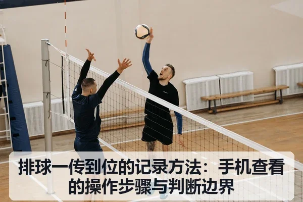 排球一传到位的记录方法:手机查看的操作步骤与判断边界